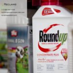 Roundup Concentrate: What You Need to Know Before You Buy